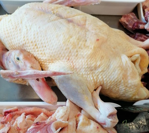 Hízott kacsa májjal